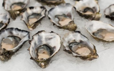 Huîtres en direct de Bréhat